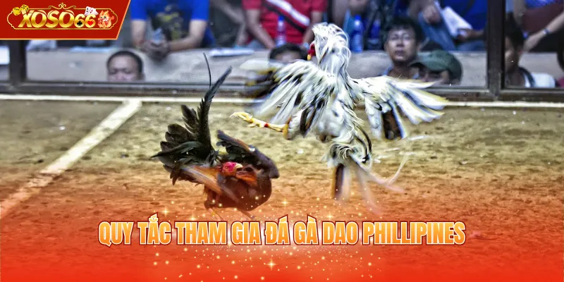 Quy tắc tham gia đá gà dao Phillipines