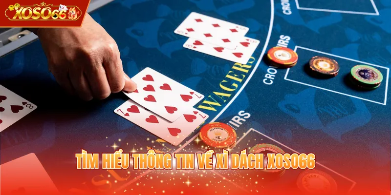 Tìm hiểu thông tin về xì dách XOSO66